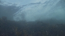 VAGUES