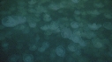 MEDUSE MOON