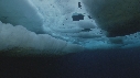 ICEBERG