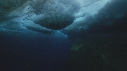 ICEBERG, EMPEREUR