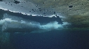 ICEBERG