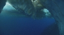 ICEBERG