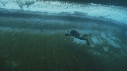 ICEBERG, EMPEREUR