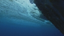 ICEBERG