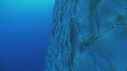 ICEBERG