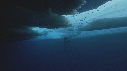 ICEBERG, PLONGEUR