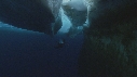 ICEBERG, PLONGEUR