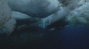 ICEBERG