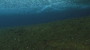 ICEBERG
