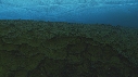 BANQUISE, ICEBERG, SALP