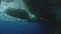 ICEBERG