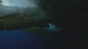 ICEBERG