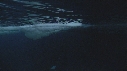 EMPEREURS, ICEBERG