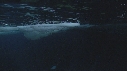 EMPEREURS, ICEBERG