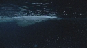 EMPEREURS, ICEBERG