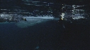 EMPEREURS, ICEBERG