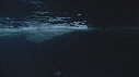 EMPEREURS, ICEBERG