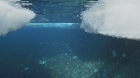 EMPEREURS, ICEBERG