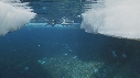 EMPEREURS, ICEBERG