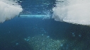 EMPEREURS, ICEBERG