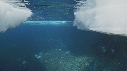 EMPEREURS, ICEBERG