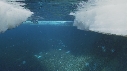 EMPEREURS, ICEBERG