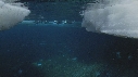EMPEREURS, ICEBERG
