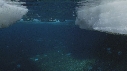 EMPEREURS, ICEBERG