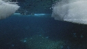 EMPEREURS, ICEBERG