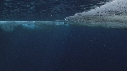 EMPEREURS, ICEBERG