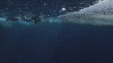 EMPEREURS, ICEBERG