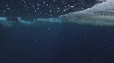 EMPEREURS, ICEBERG