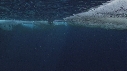 EMPEREURS, ICEBERG