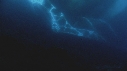 ALGUES, ICEBERG