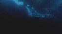 ALGUES, ICEBERG
