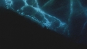 ALGUES, ICEBERG, POISSONS