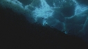 ALGUES, ICEBERG, POISSONS