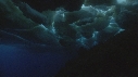 BLOC DE GLACE, PHOQUE