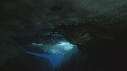 BLOC DE GLACE, PHOQUE