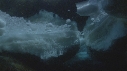 BLOC DE GLACE