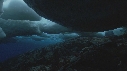 BLOC DE GLACE, ALGUES
