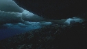 BLOC DE GLACE, ALGUES