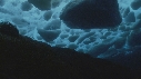 BLOC DE GLACE, ALGUES