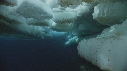 ICEBERG, BANQUISE