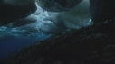 BLOC DE GLACE, ALGUES