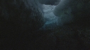 BLOC DE GLACE, ALGUES