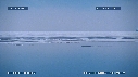 ICEBERGS