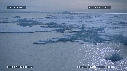 ICEBERGS, PACK