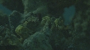 CRABE