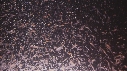 KRILL